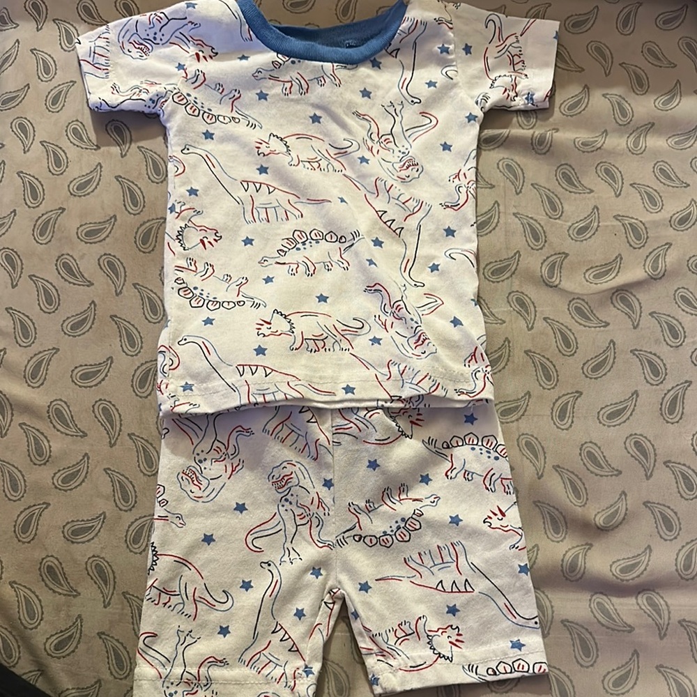 Playful Blue and White Dinosaur Pajama Set (NWT)